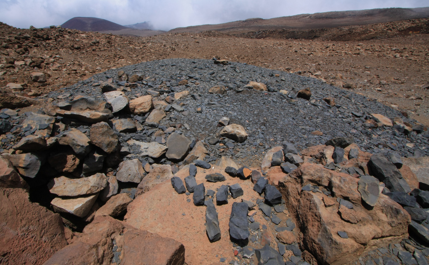 Hafted adzes from Hawai'i: left, a stone swivel adze, used for